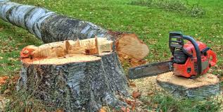 Best Leaf Removal  in Harmony, RI