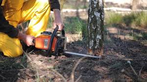 Best Soil Testing and Treatment  in Harmony, RI