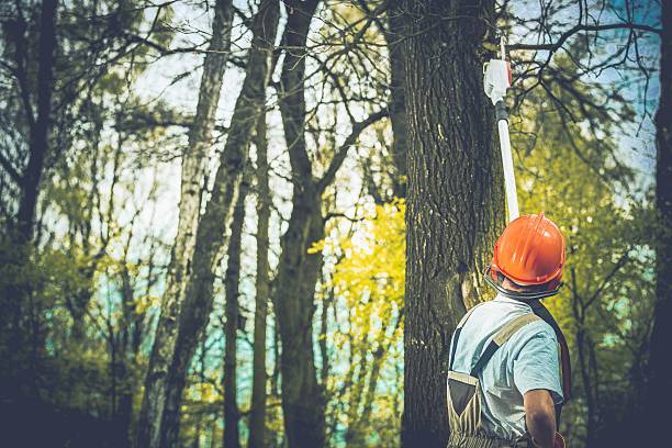 Soil Testing and Treatment in Harmony, RI
